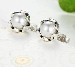 Schlichte Damen Ohrstecker Perle 925 Sterling Silber